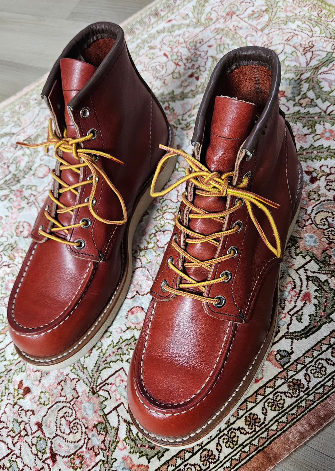 레드윙 8875 8.5E 풀박스 슈트리 케어용품 상품이미지1