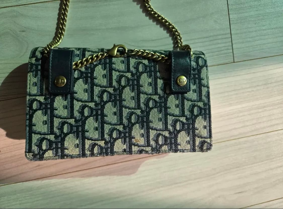 디올 오블리크 벨트백 + 체인 스트랩 포함 73 상품이미지3