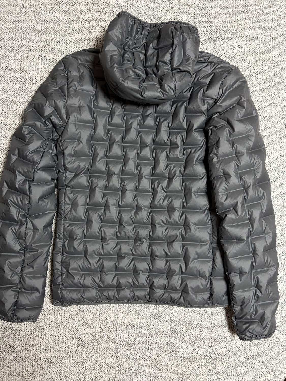 아디다스 테렉스 경량패딩 (덕다운) 상품이미지3