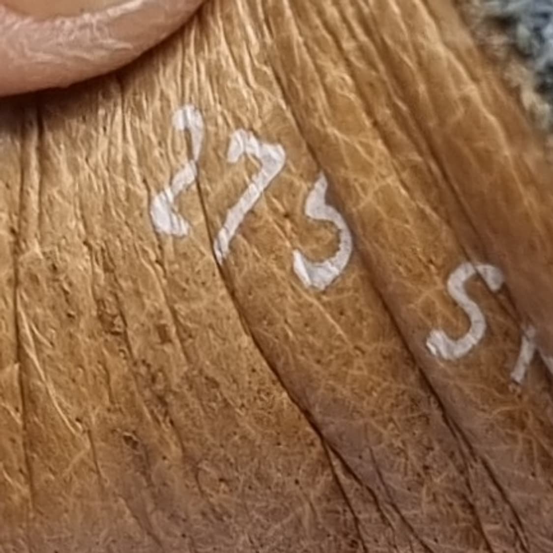 세라 saera 레더 남성보트슈즈275 상품이미지6