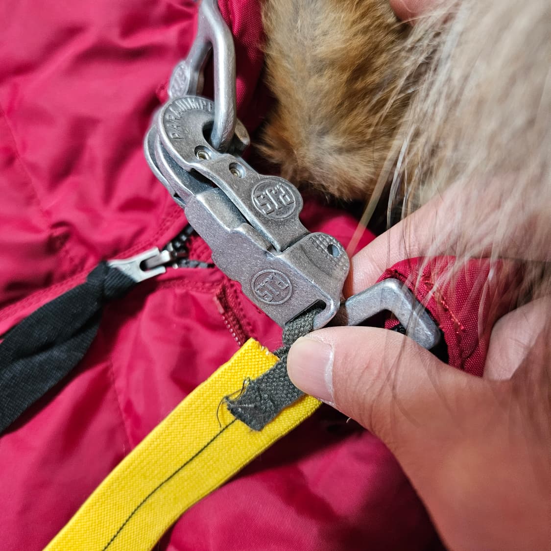 파라점퍼스 롱베어 다운 패딩 파카 M size 상품이미지4