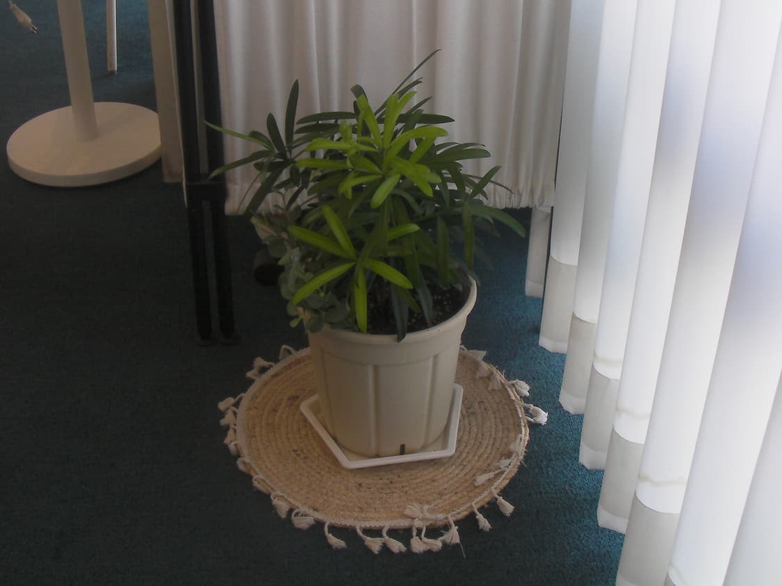 작례 O) 산요 작티 sanyo xacti CA9 상품이미지7