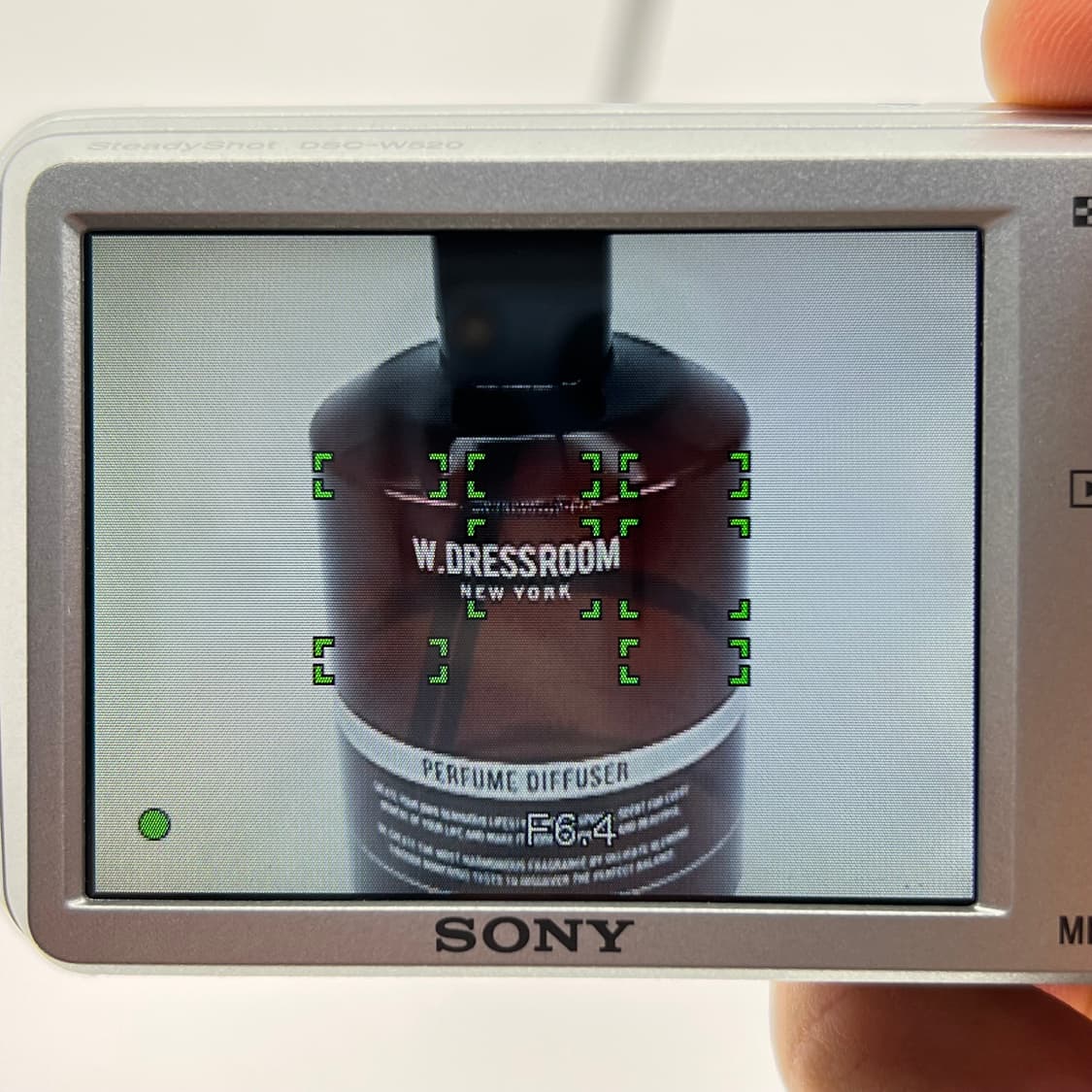 소니 사이버샷 Sony Cyber-shot DSC-W520 실버 상품이미지9