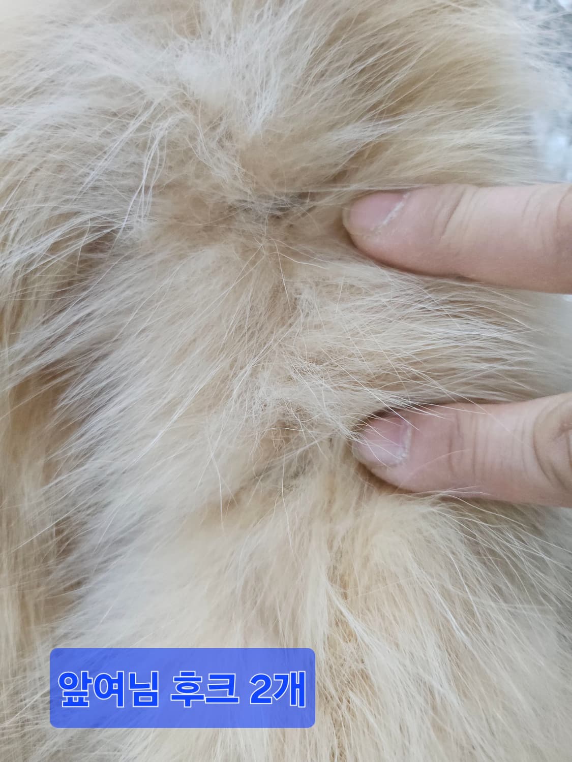 봄빅스엠무어 리얼폭스 퍼 숏 코트 66 상품이미지7