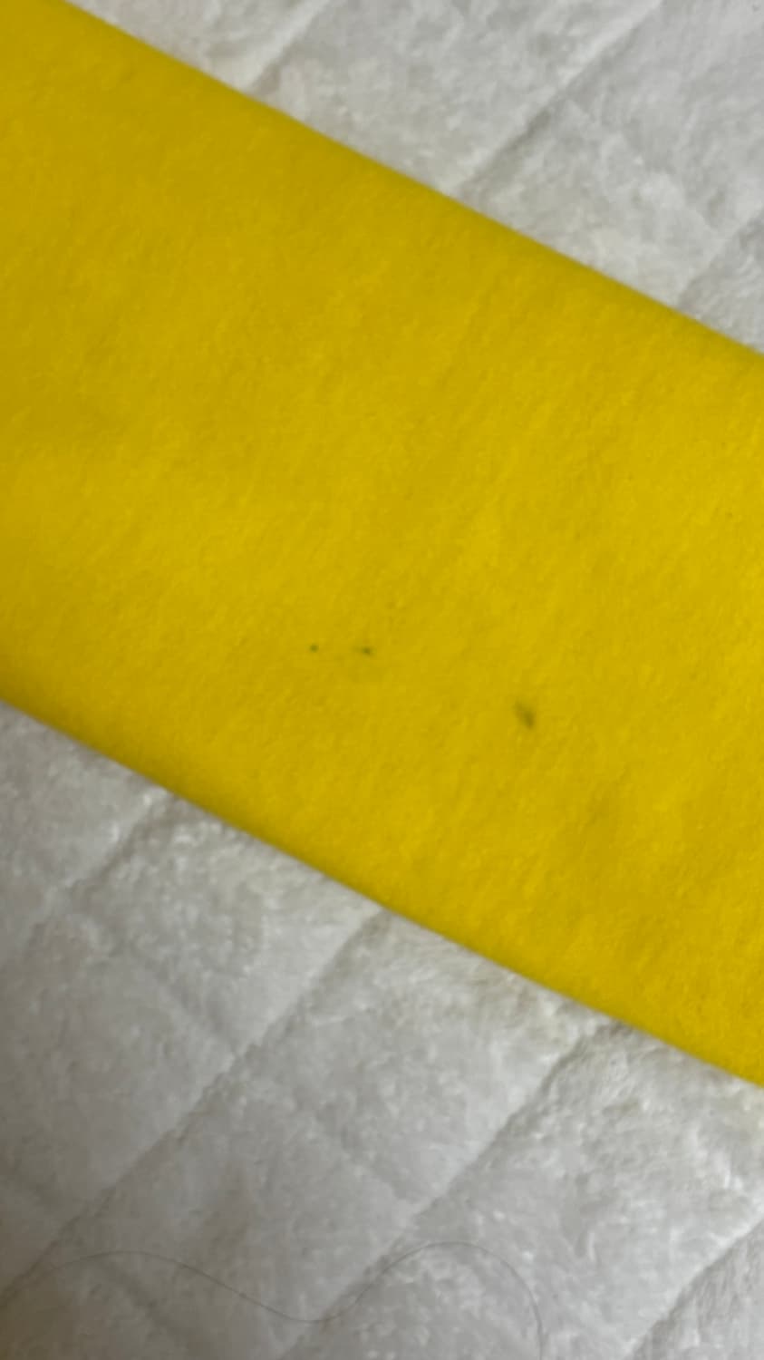 폴로 빅포니 후드집업 상품이미지5