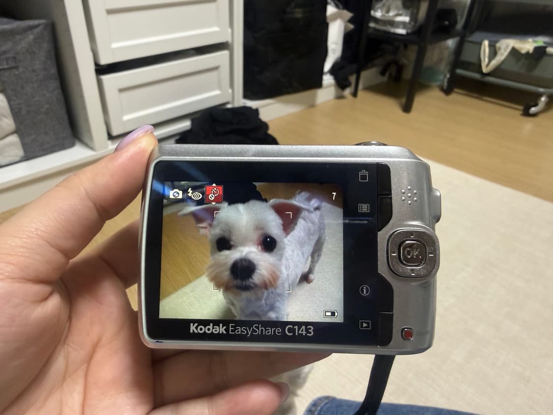 코닥 이지쉐어 c143 키키디카 상품이미지10