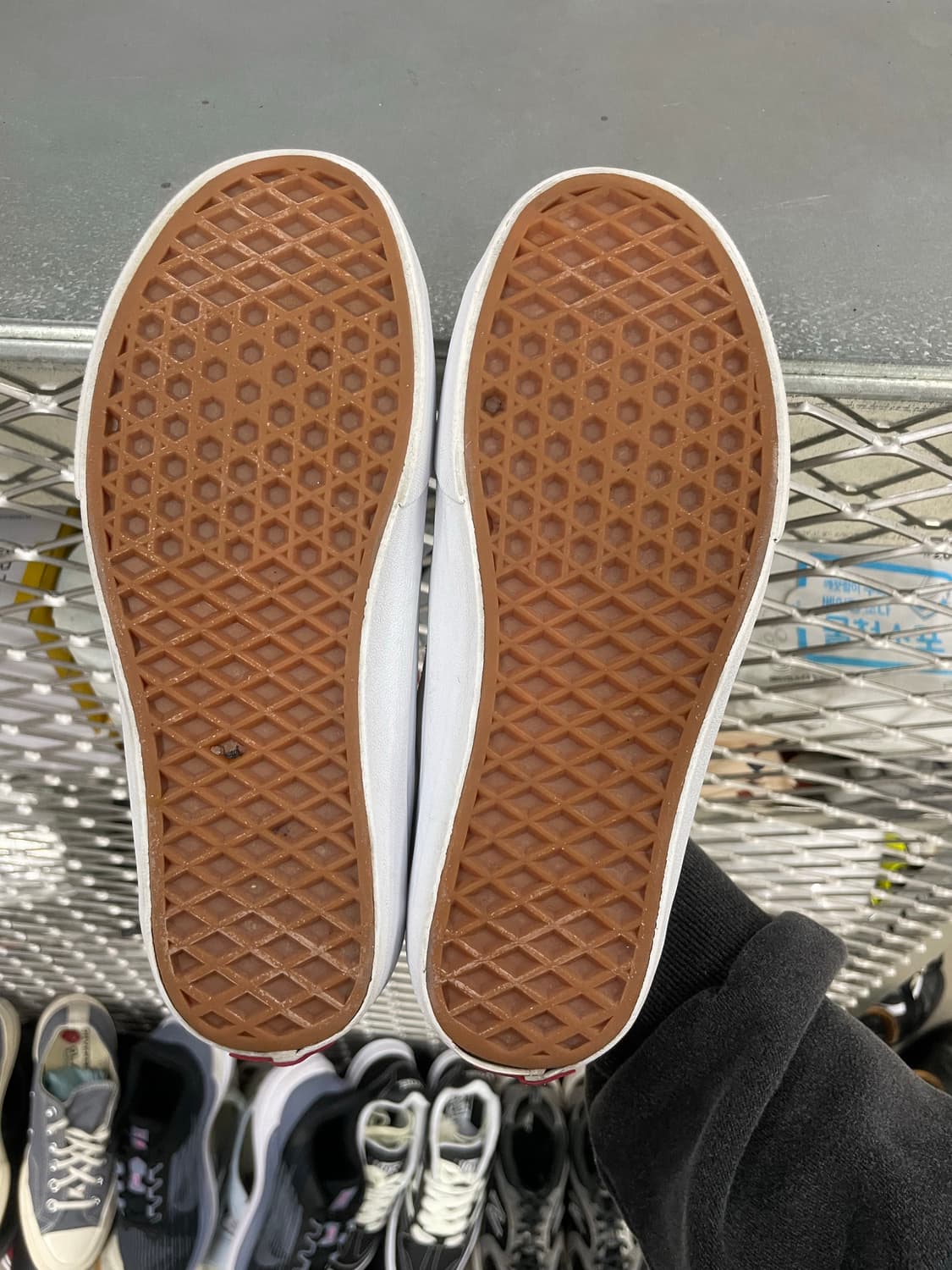 반스 스포츠 스웨이드 아이보리 235 상품이미지6