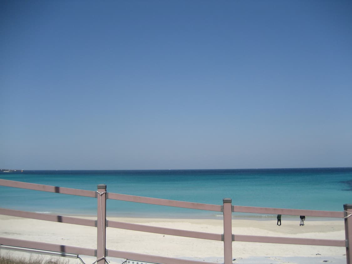 캐논 익서스 65 상품이미지5