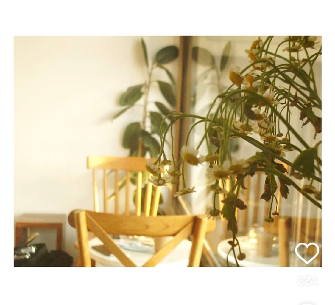 무배 청량 디카 펜탁스 옵티오 s60 카메라 판매합니다 상품이미지8