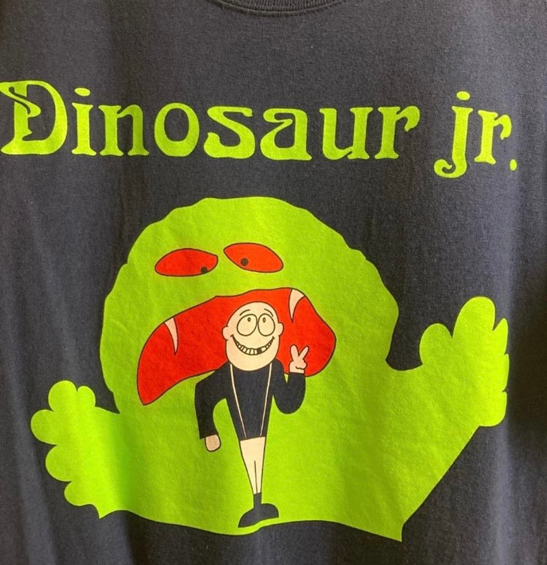90s~00s Dinosaur Jr Hanes Heavyweight 빈티 상품이미지3