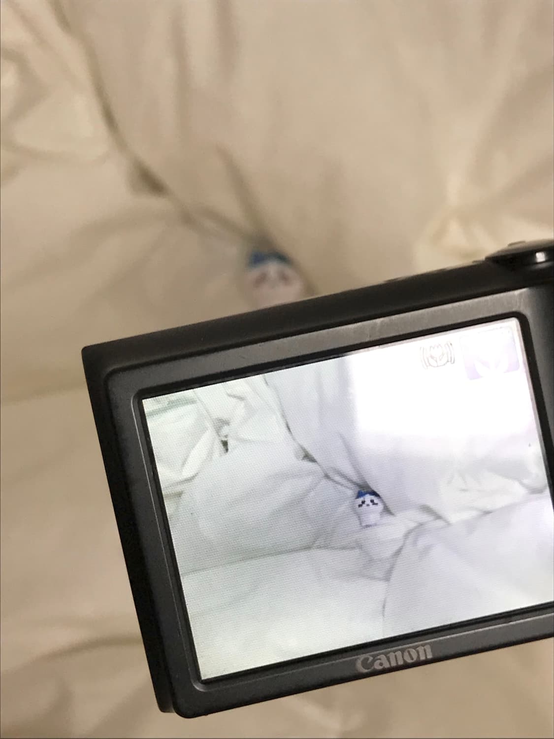 (풀박스!) powershot A2400is 상품이미지5