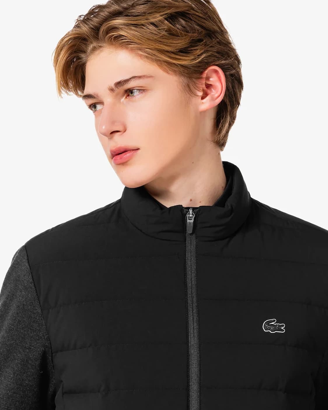 라코스테 덕다운 경량 패딩 100 상품이미지7