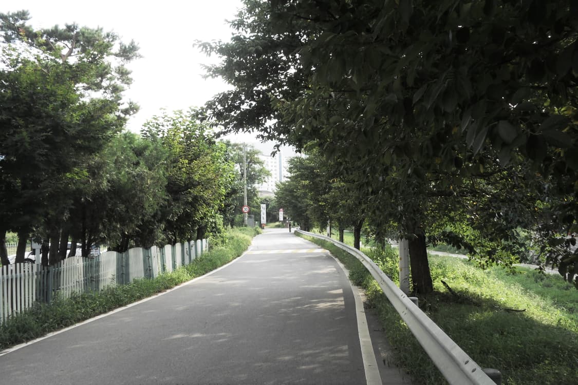 삼성 블루 samsung VLUU NV9 디지털카메라  상품이미지6