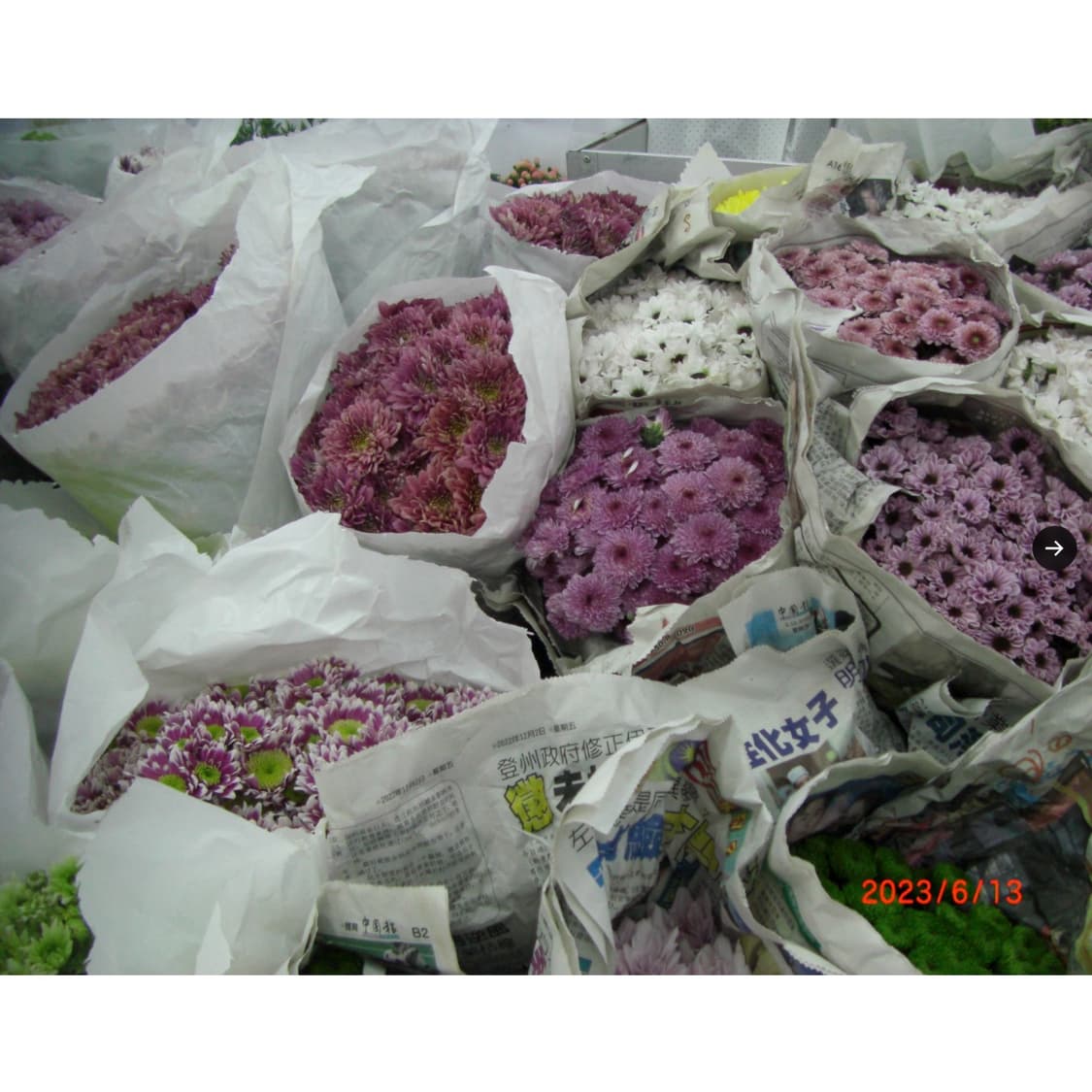 카시오 엑슬림 ex-v7 (작례 0) 상품이미지3