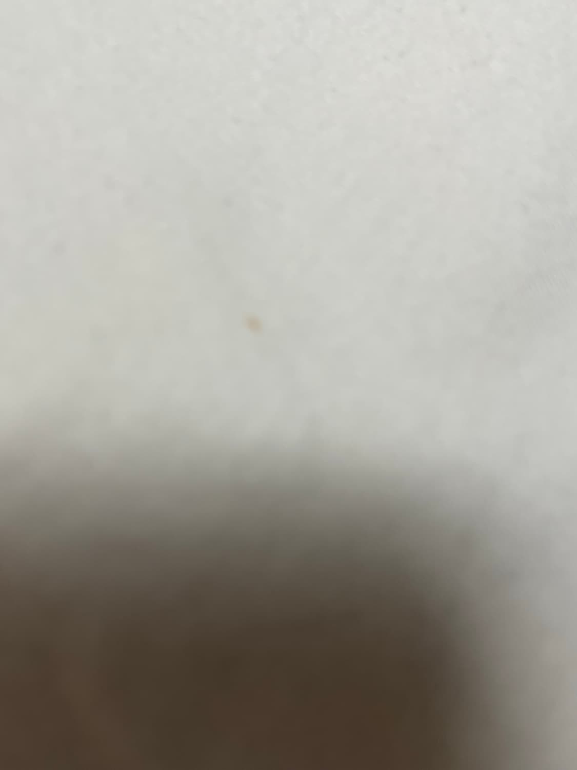 아베크롬비 y2k 딱붙핏 슬림 긴팔 티셔츠 롱슬리브 상품이미지2