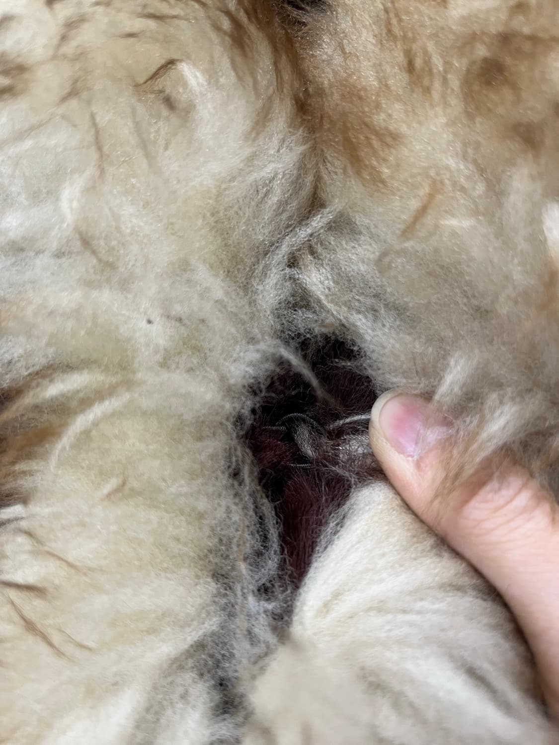 일본 빈티지 갸루 브라운 퍼 무스탕 코트 상품이미지5