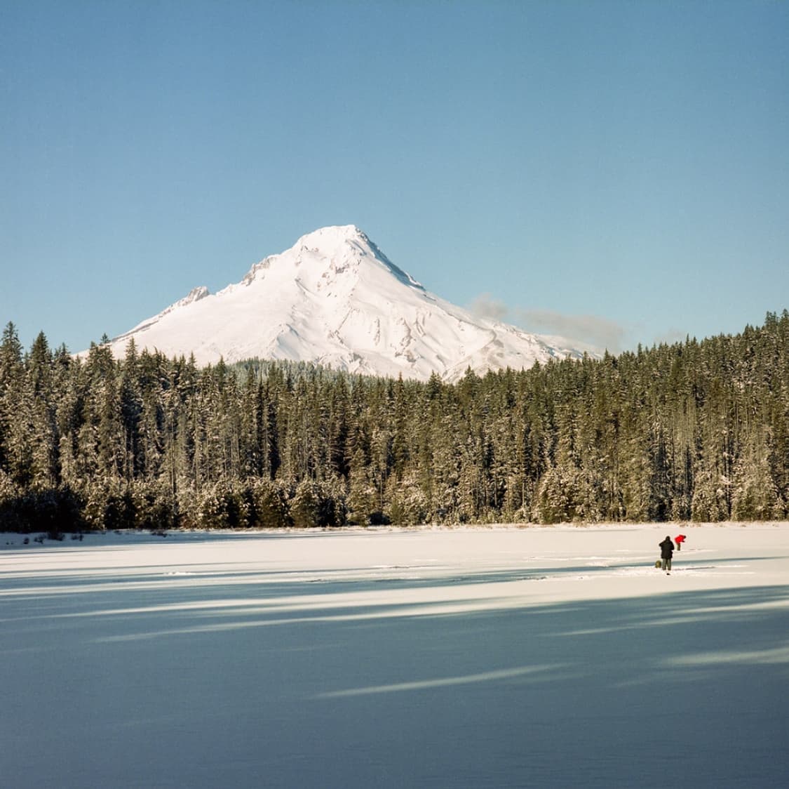 작례O 스냅 최강 교세라 p 미니 2 필름카메라 빈티지 필카 상품이미지4
