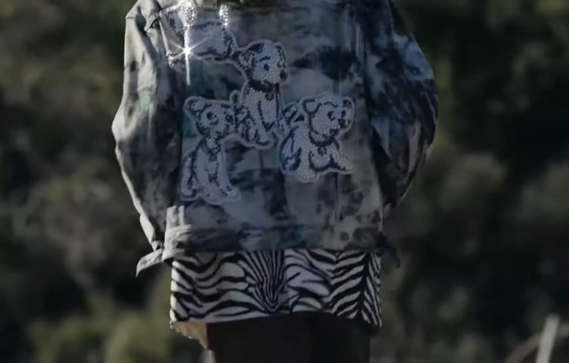 [NCT 착용] 셀린느 22ss 크리스탈 퍼피 데님 자켓 상품이미지5