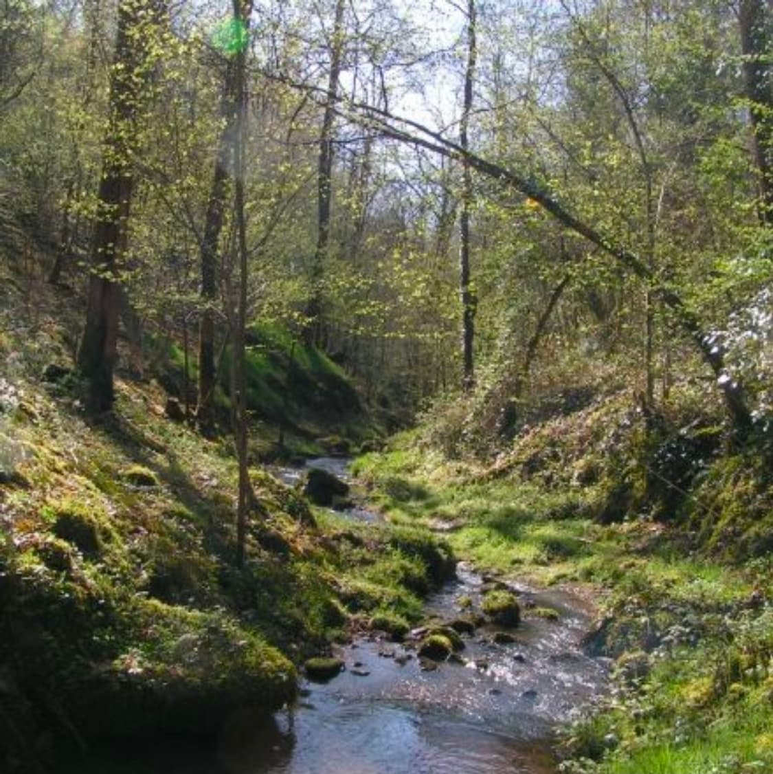 코니카 미놀타 디미지 Z1 상품이미지6