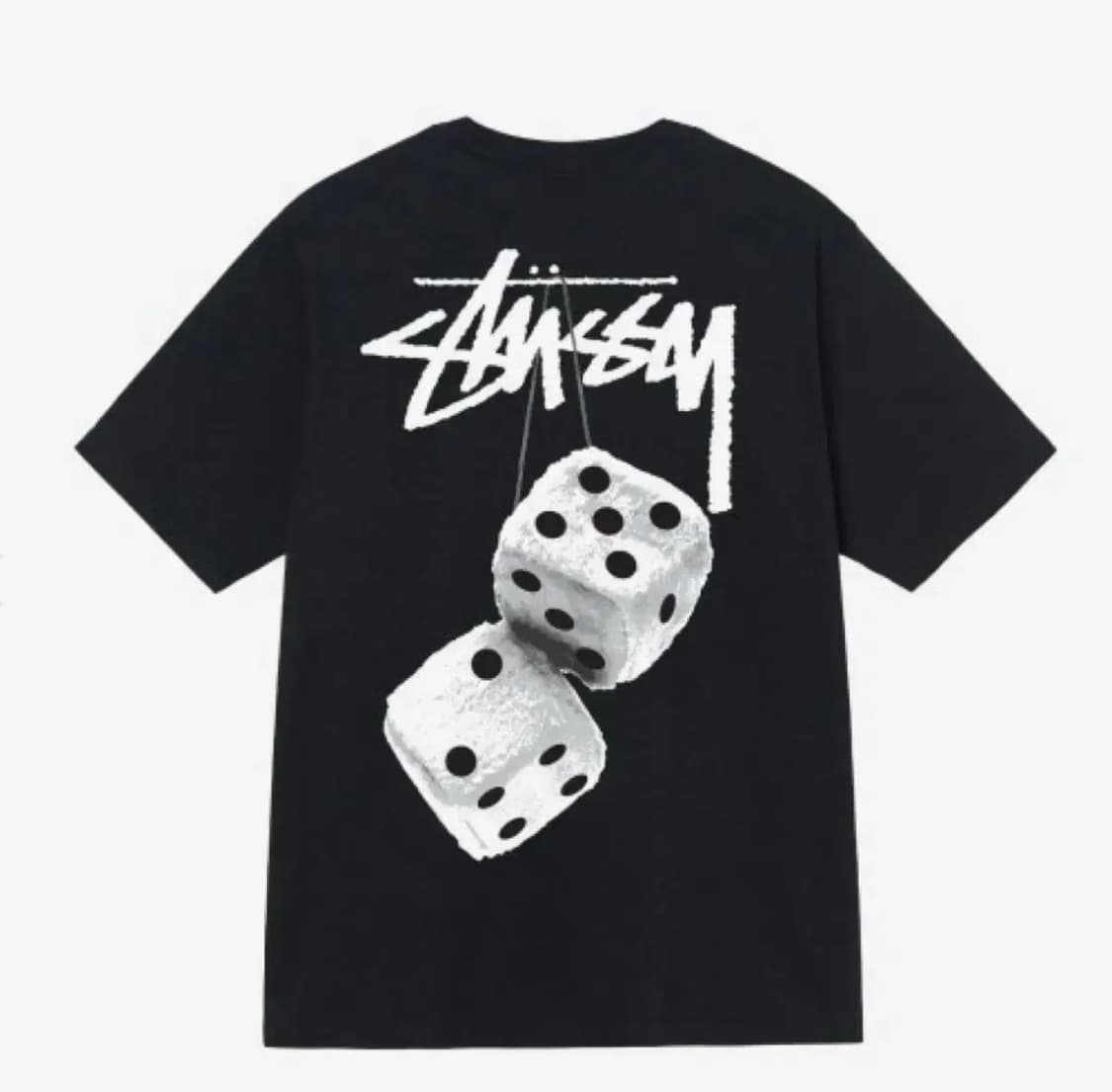 스투시 퍼지 다이스 반팔티 상품이미지1
