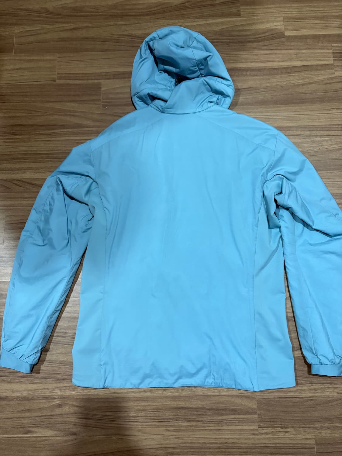 아크테릭스 아톰 lt후디 솔레스 상품이미지2