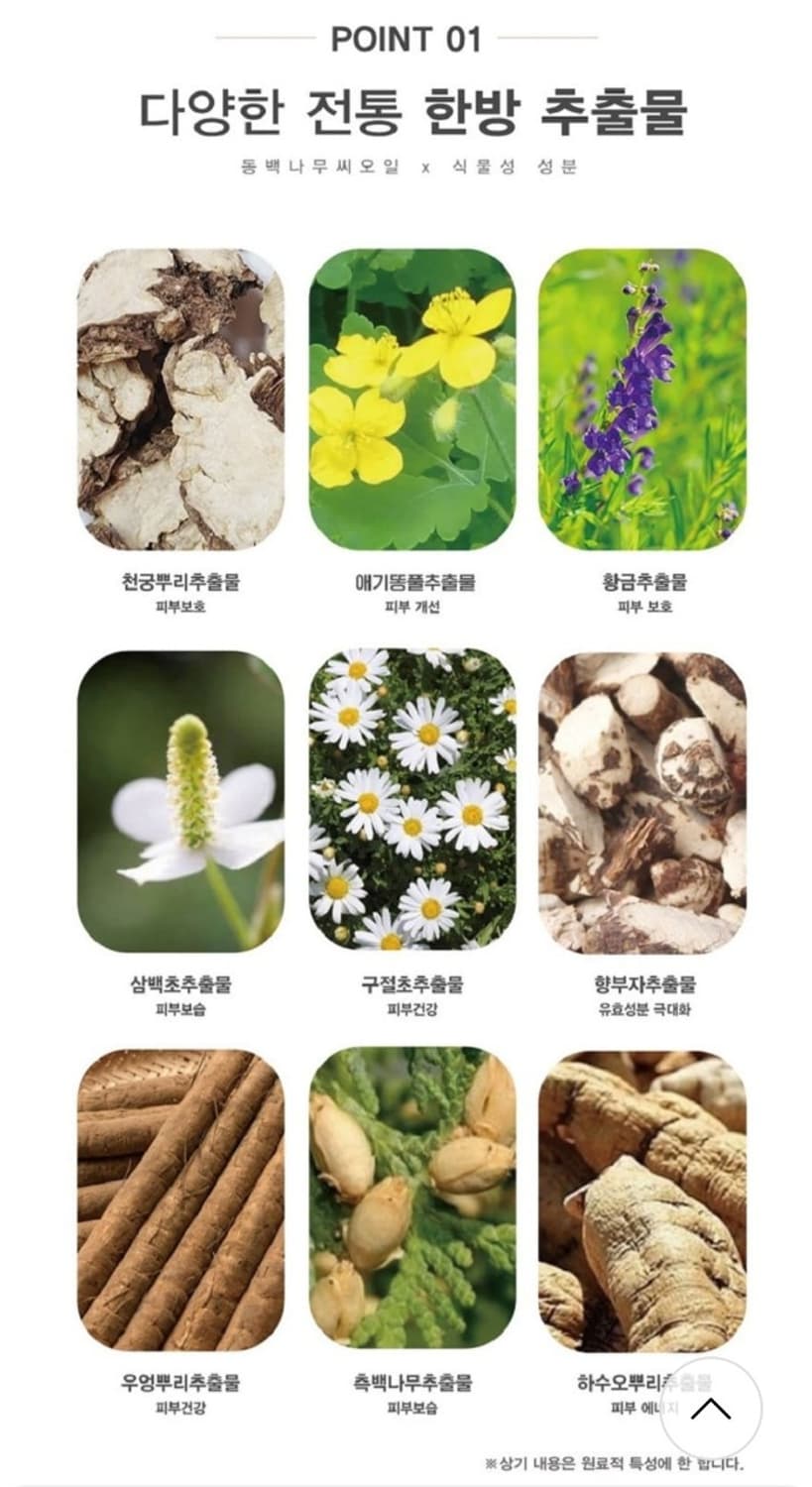 설수련  진 한방 고농축 스킨케어 5종세트 기능성 화장품

설수련 진 한 상품이미지9