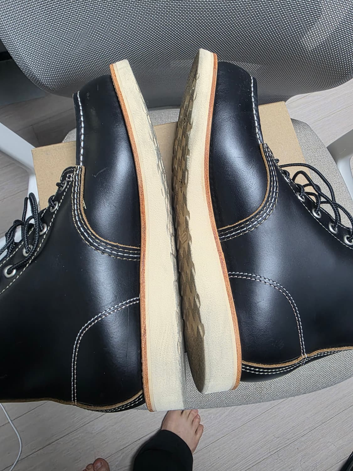 Ticktock 아이리쉬세터 목토 9874 42 상품이미지5