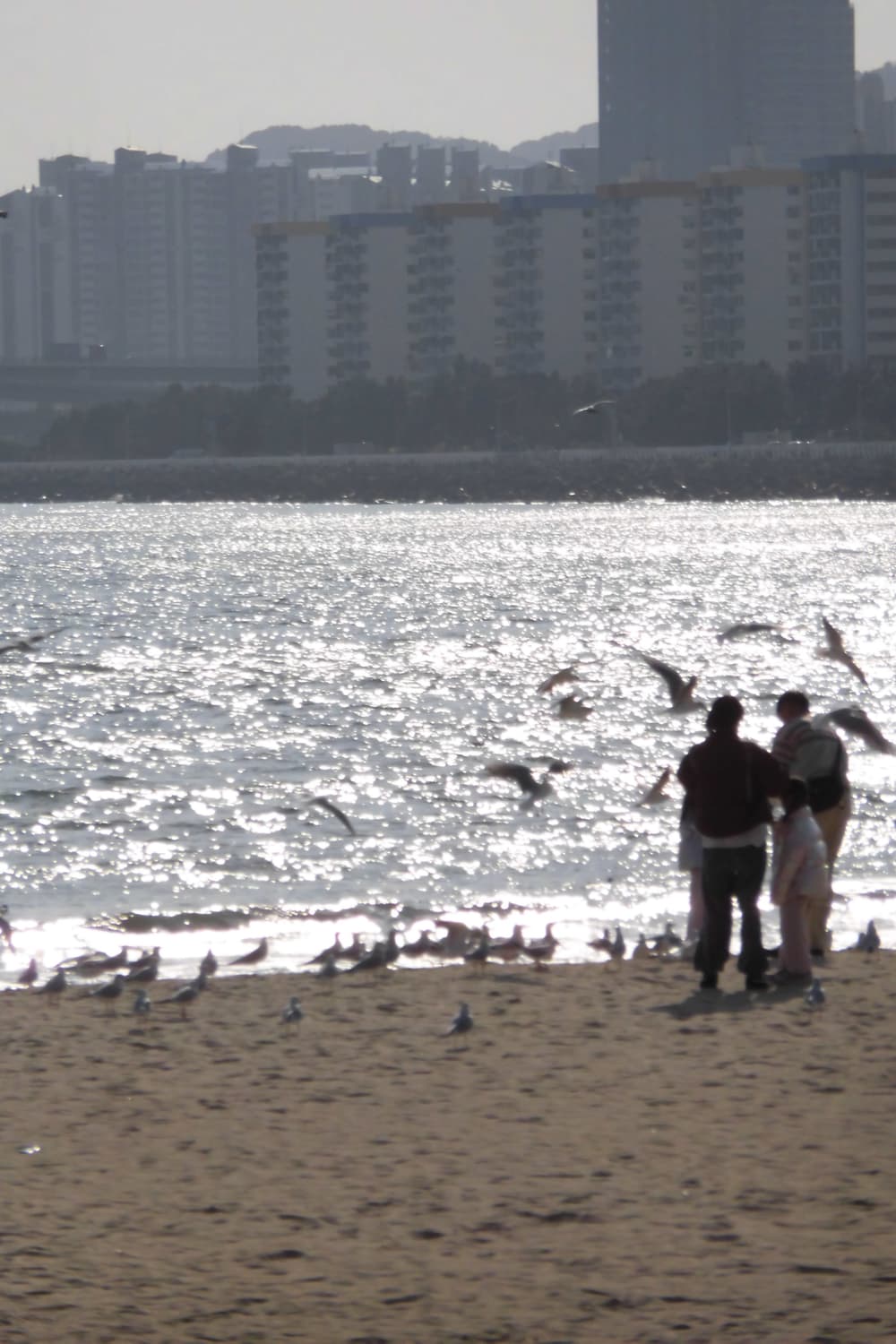 카시오 EXILIM EX-ZS180 / 메이크업모드 상품이미지10