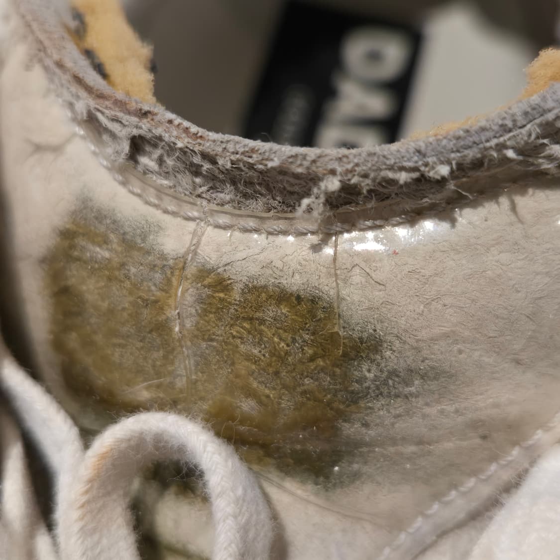 골든구스 대드스타 그레이 41 상품이미지8