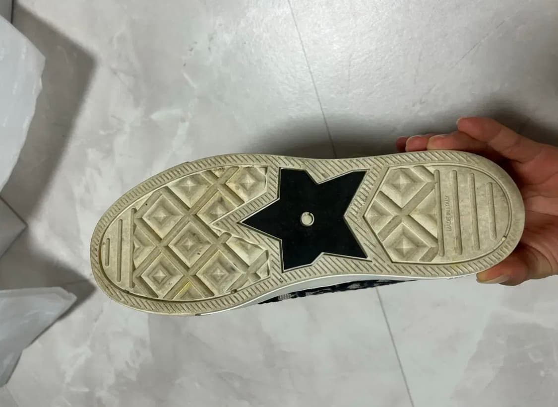 디올 오블리크 자수 캔버스 워크앤디올 상품이미지3
