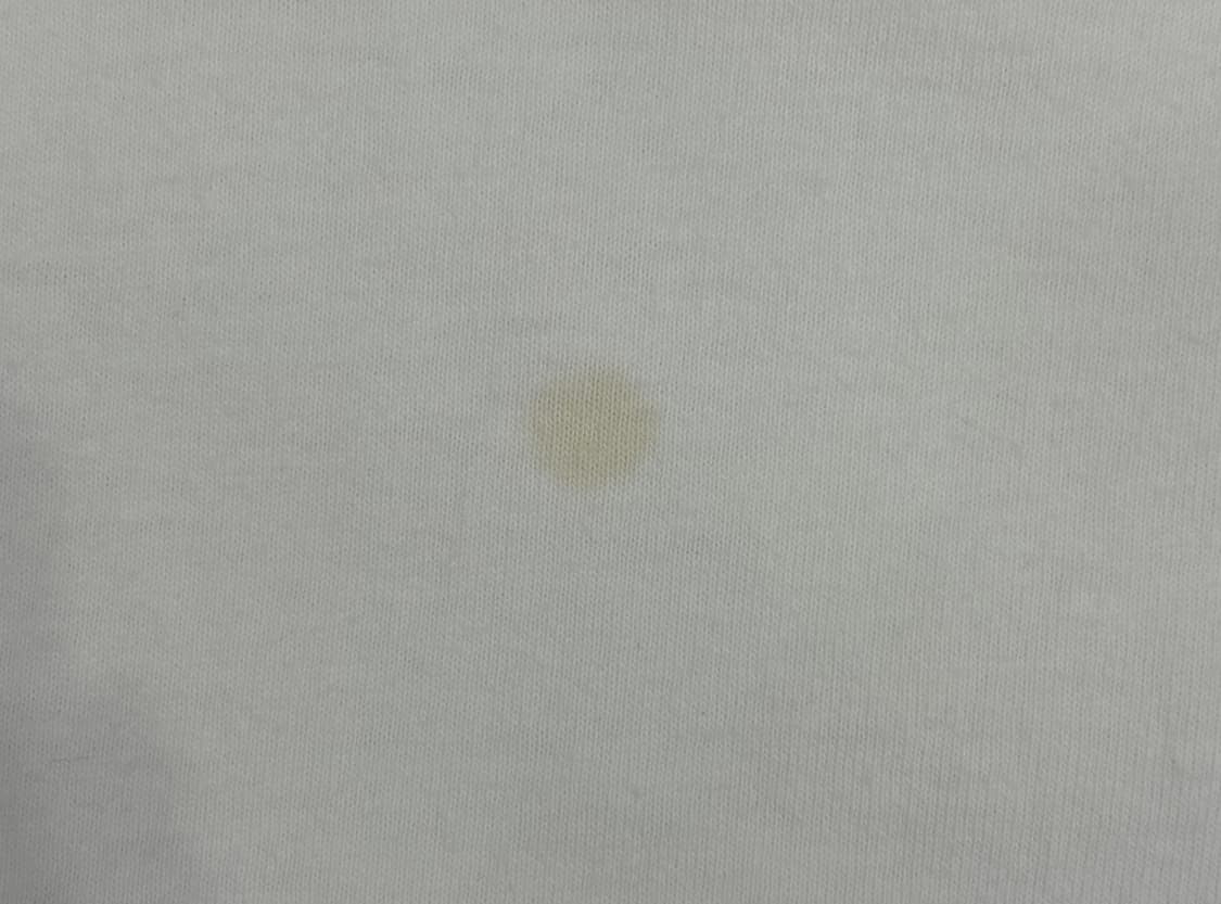 Anvil 골든래트리버 티셔츠 상품이미지6