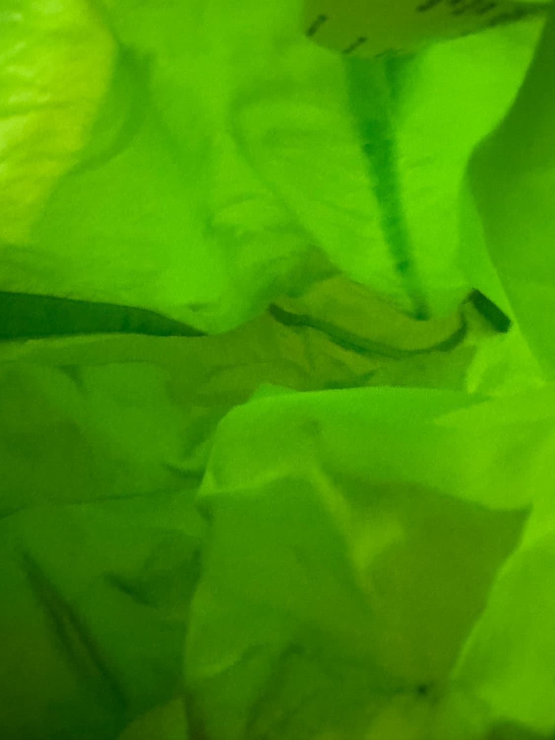 헤리티지 플로스 나일론 워셔 스포츠 백 그린 상품이미지4