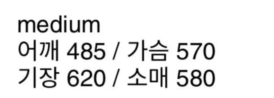 (급처) 미스치프 22FW 윈드브레이커 바람막이 M 상품이미지2