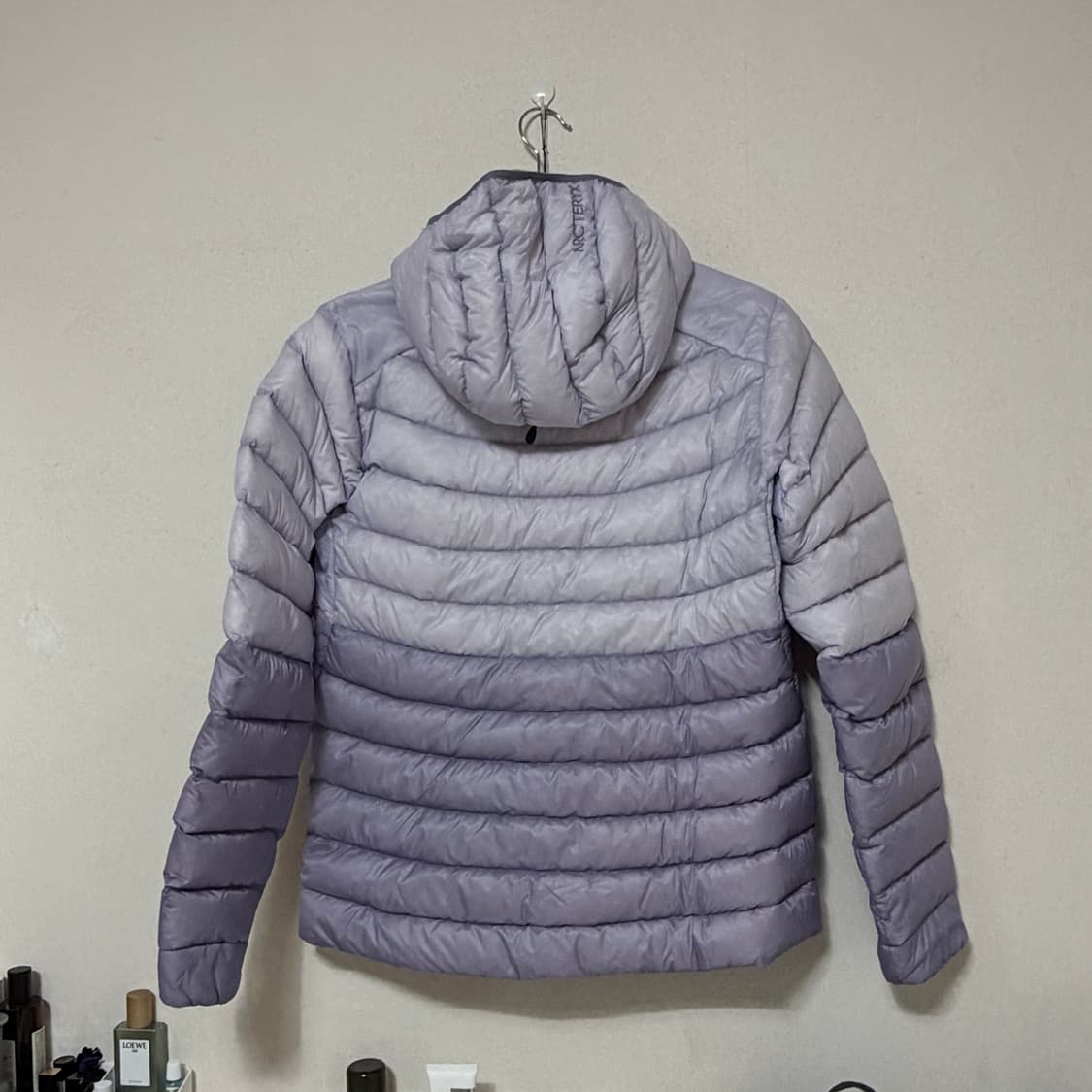 아크테릭스 세륨 후디 상품이미지4