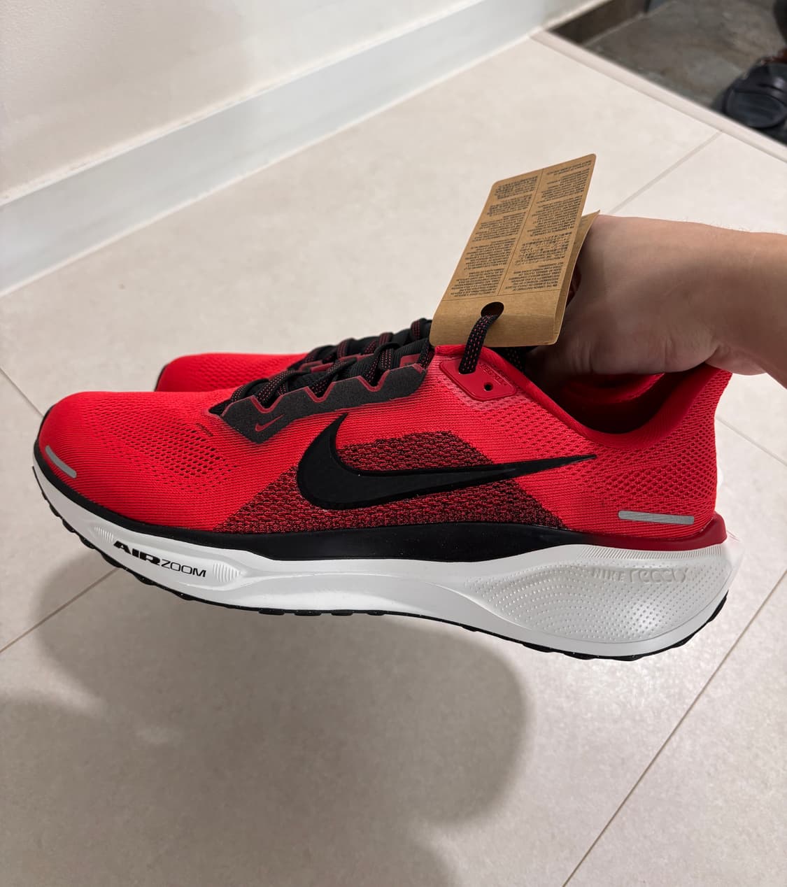 나이키 페가수스41 University Red Light Crimson 상품이미지1