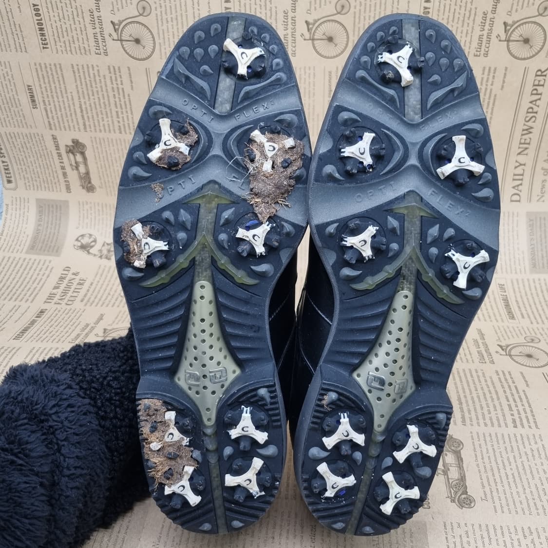 풋조이 FJ 아이콘 보아 골프화 270 상품이미지3