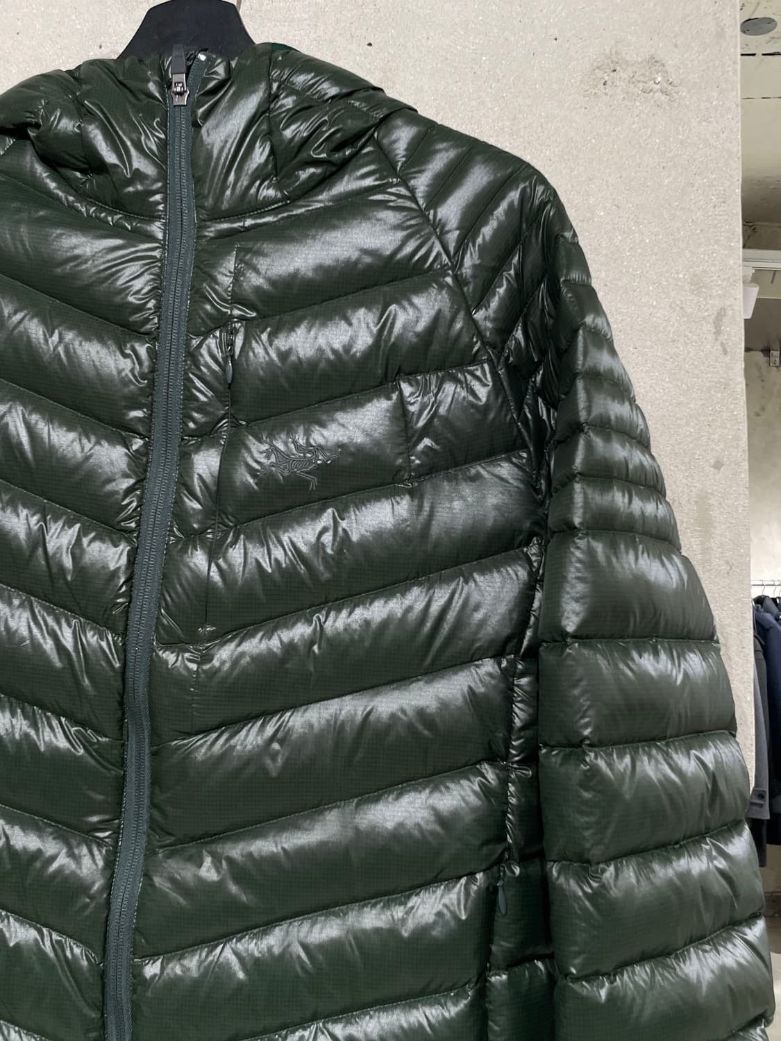 아크테릭스 그린 로고 나일론 덕 다운 경랑 후디 자켓 상품이미지3