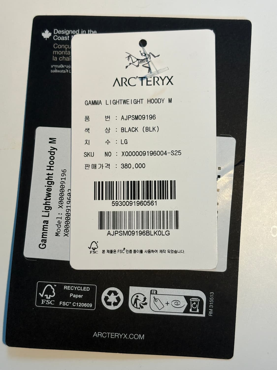 [L] 아크테릭스 감마 라이트웨이트 후디 맨 상품이미지3