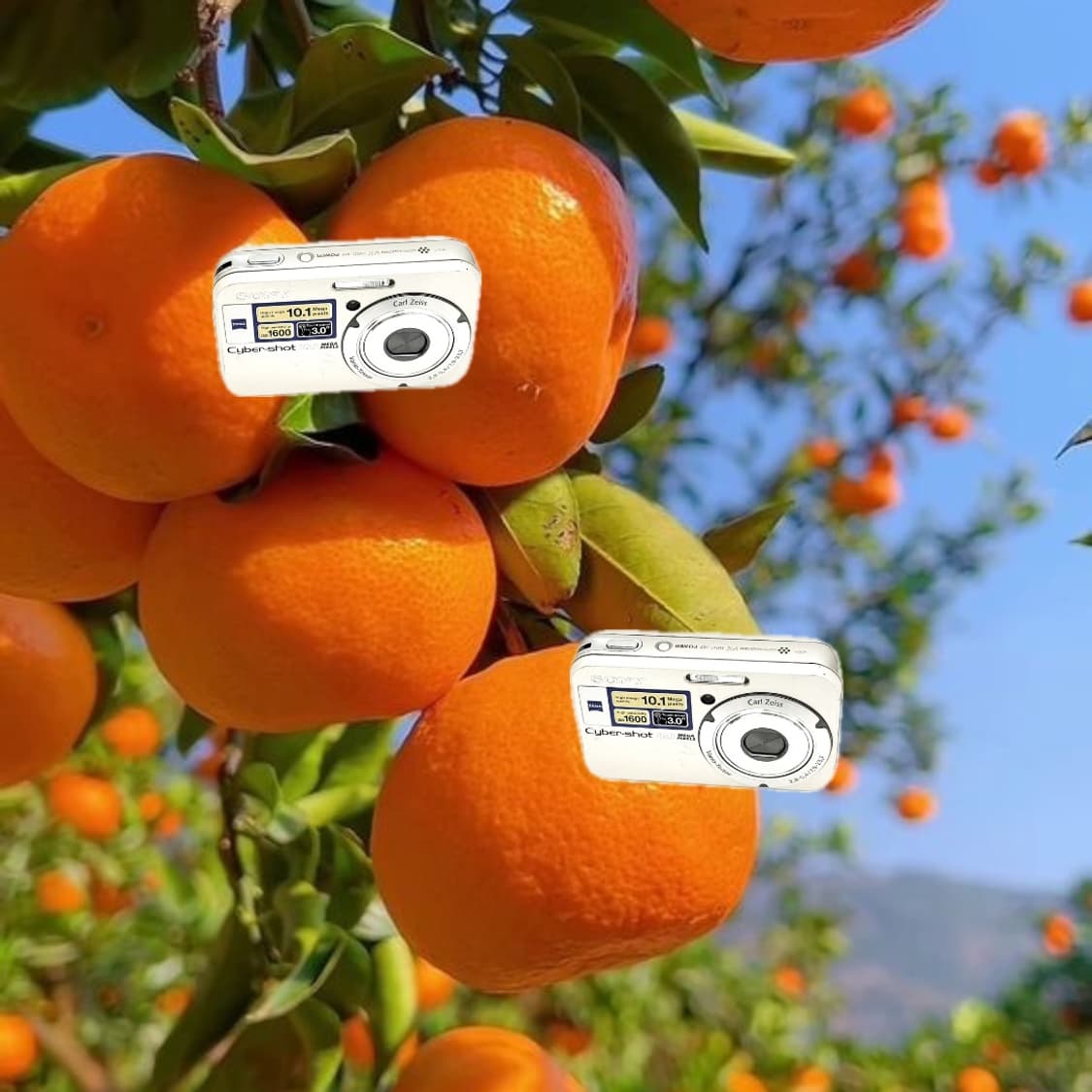 필름색감&희귀!) Sony Cyber-shot N2디카 카메라 상품이미지1