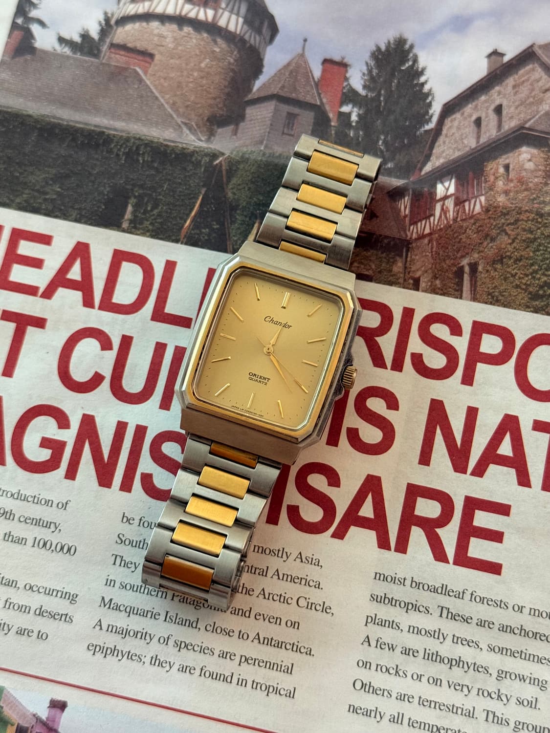 Orient 오리엔트 Chandor 샹도르 스퀘어 콤비 상품이미지2