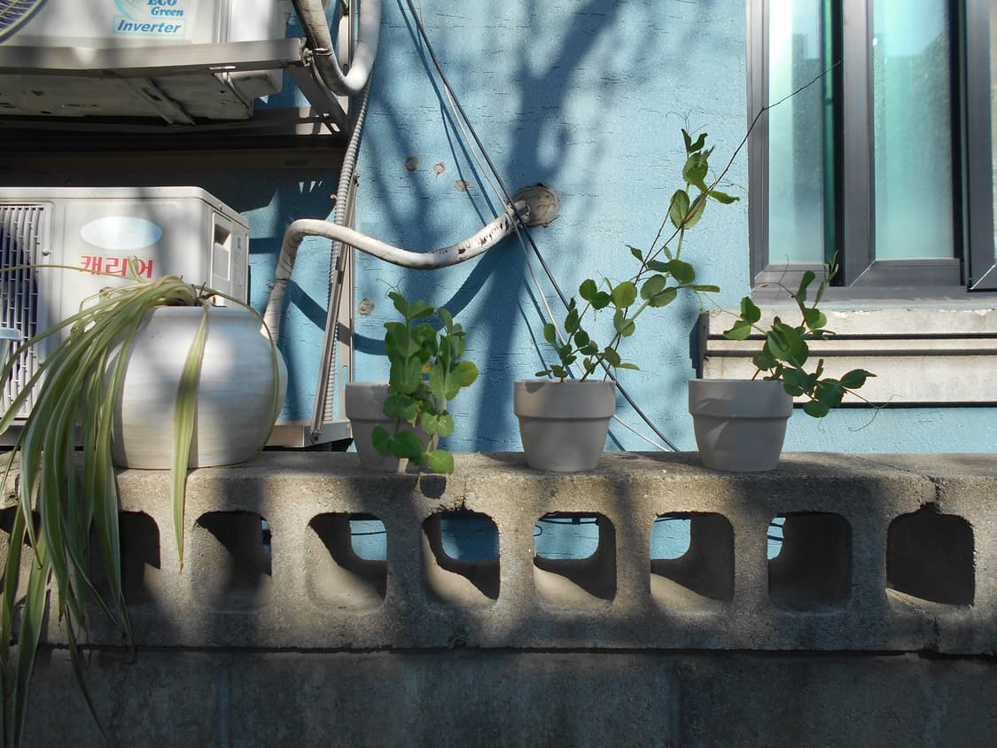 (작례!)Nikon Coolpix L32 디카 상품이미지3