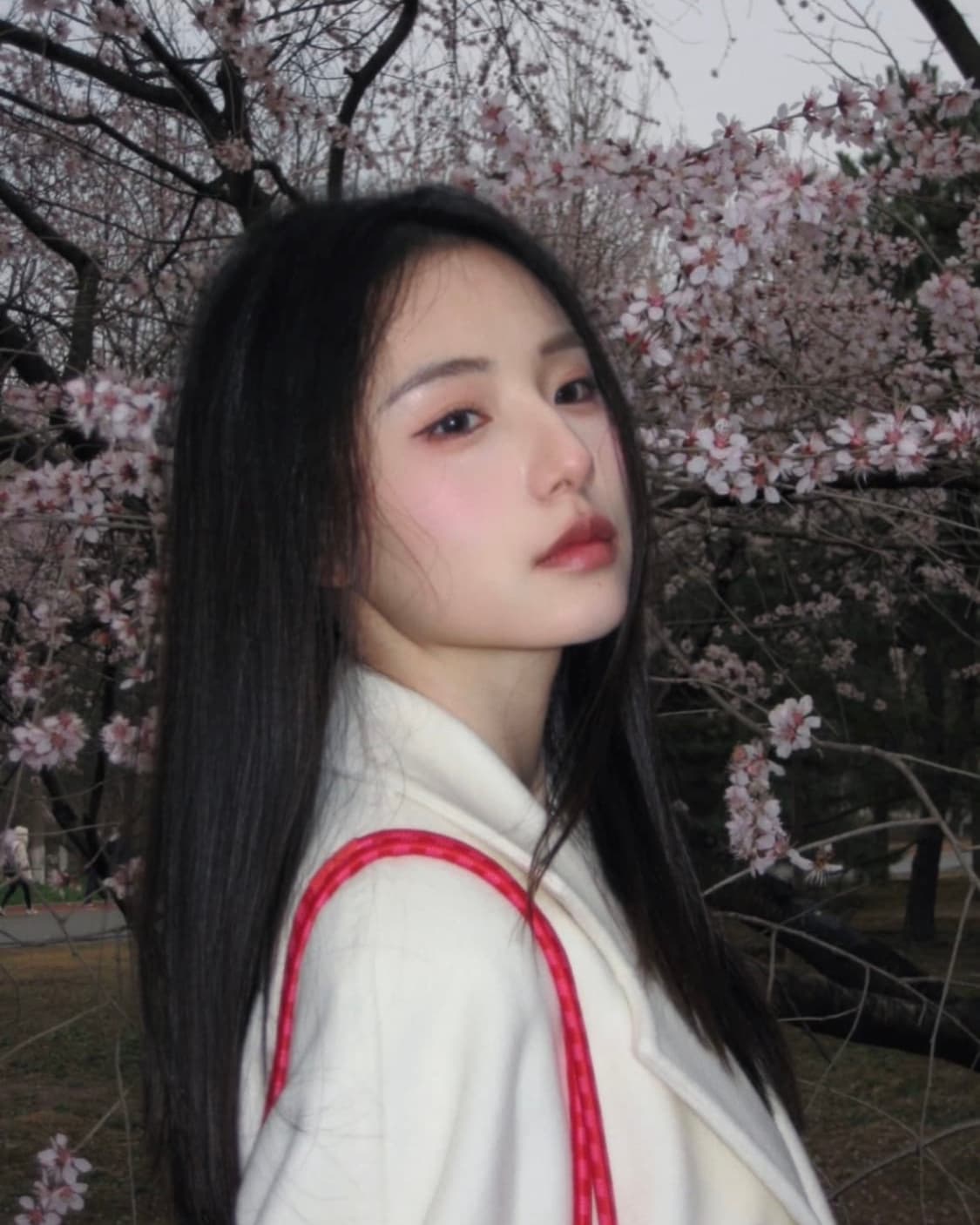 A급)캐논 익서스 75 CANON IXUS 75 빈티지 디지털카메라 디카 상품이미지5