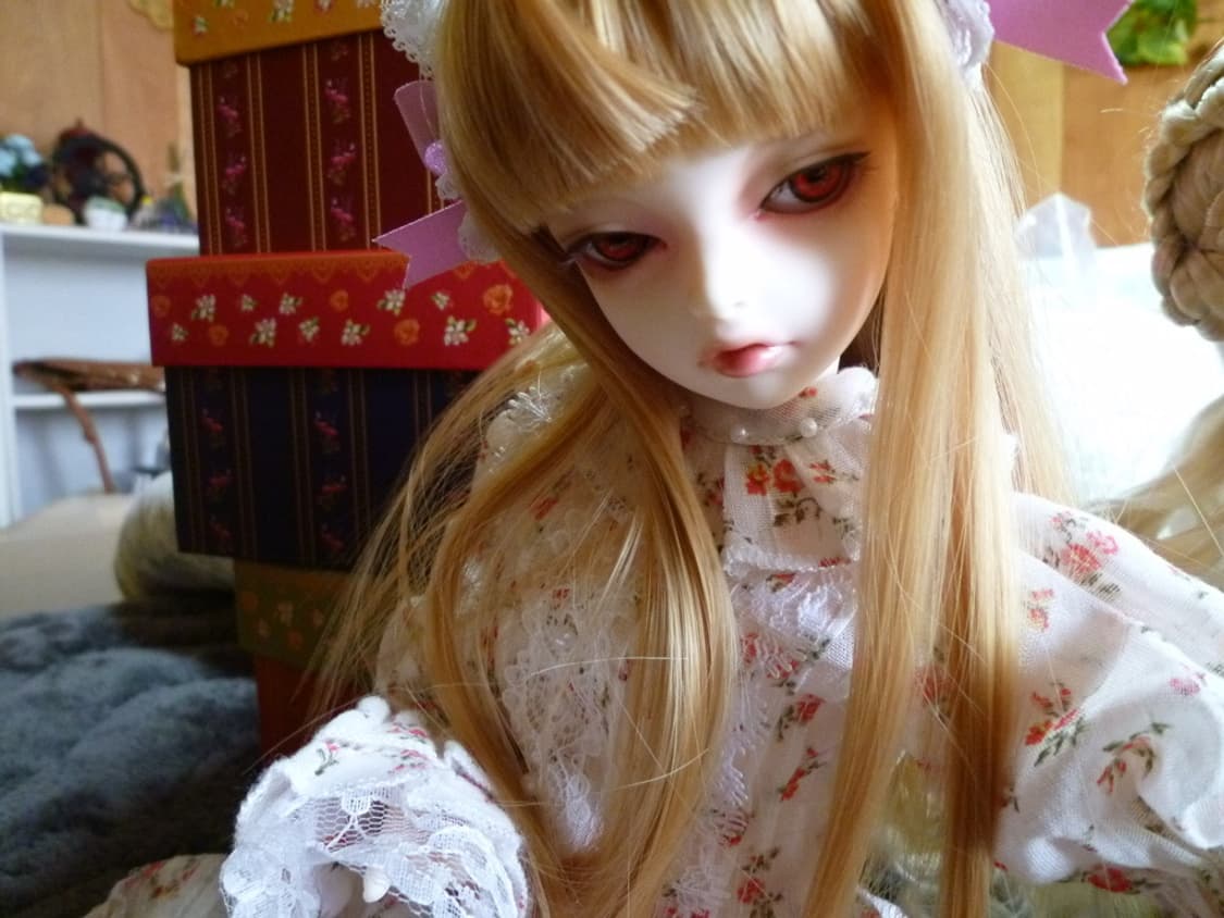 뽀용 인기 카메라 파나소닉 루믹스 DMC-FX66 작례o 상품이미지10