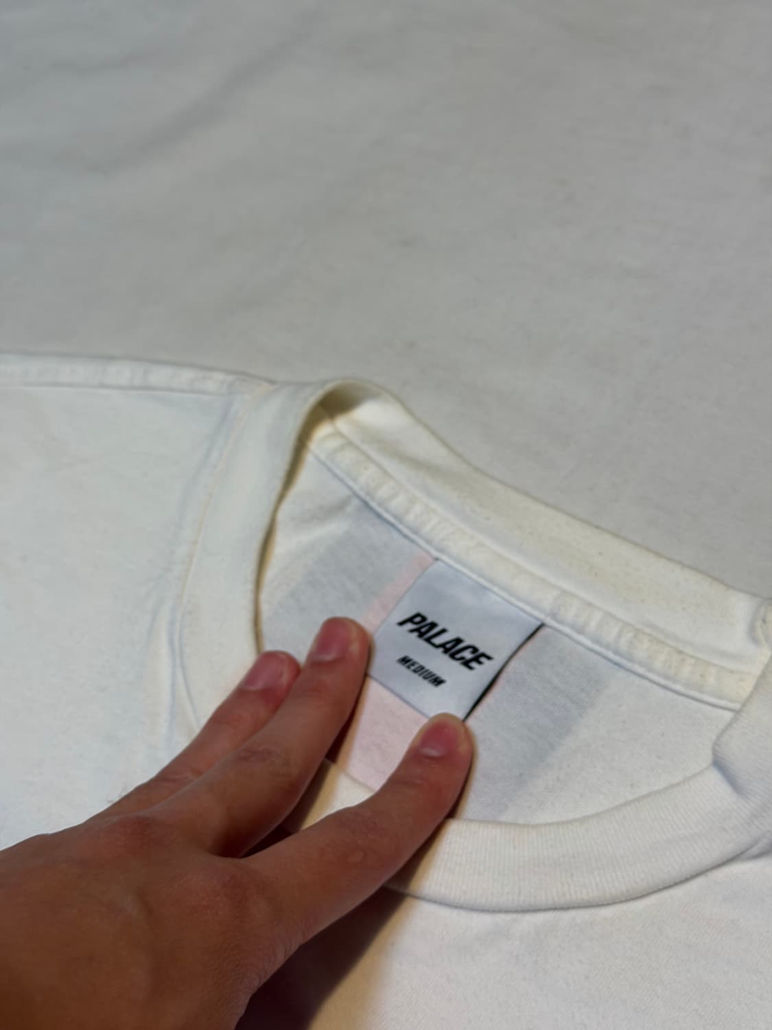 팔라스 23ss 레이시 반팔 티셔츠 화이트 상품이미지5