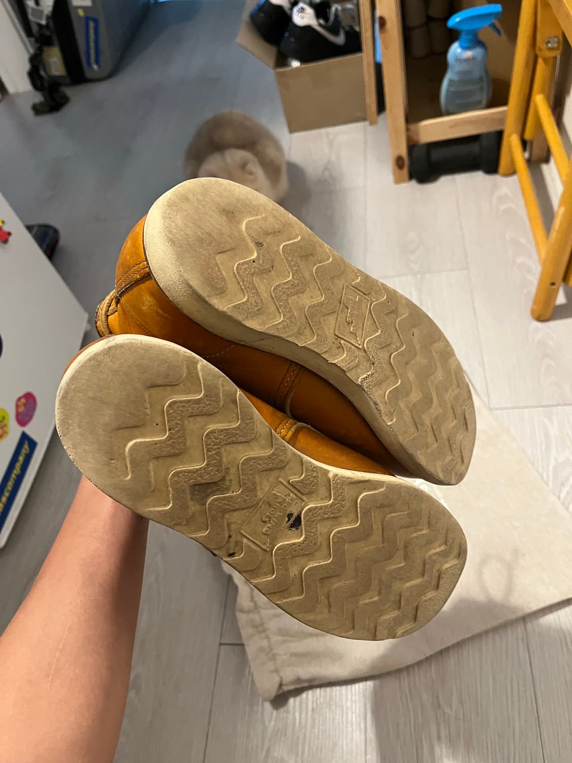 레드윙 아이리쉬세터 상품이미지8