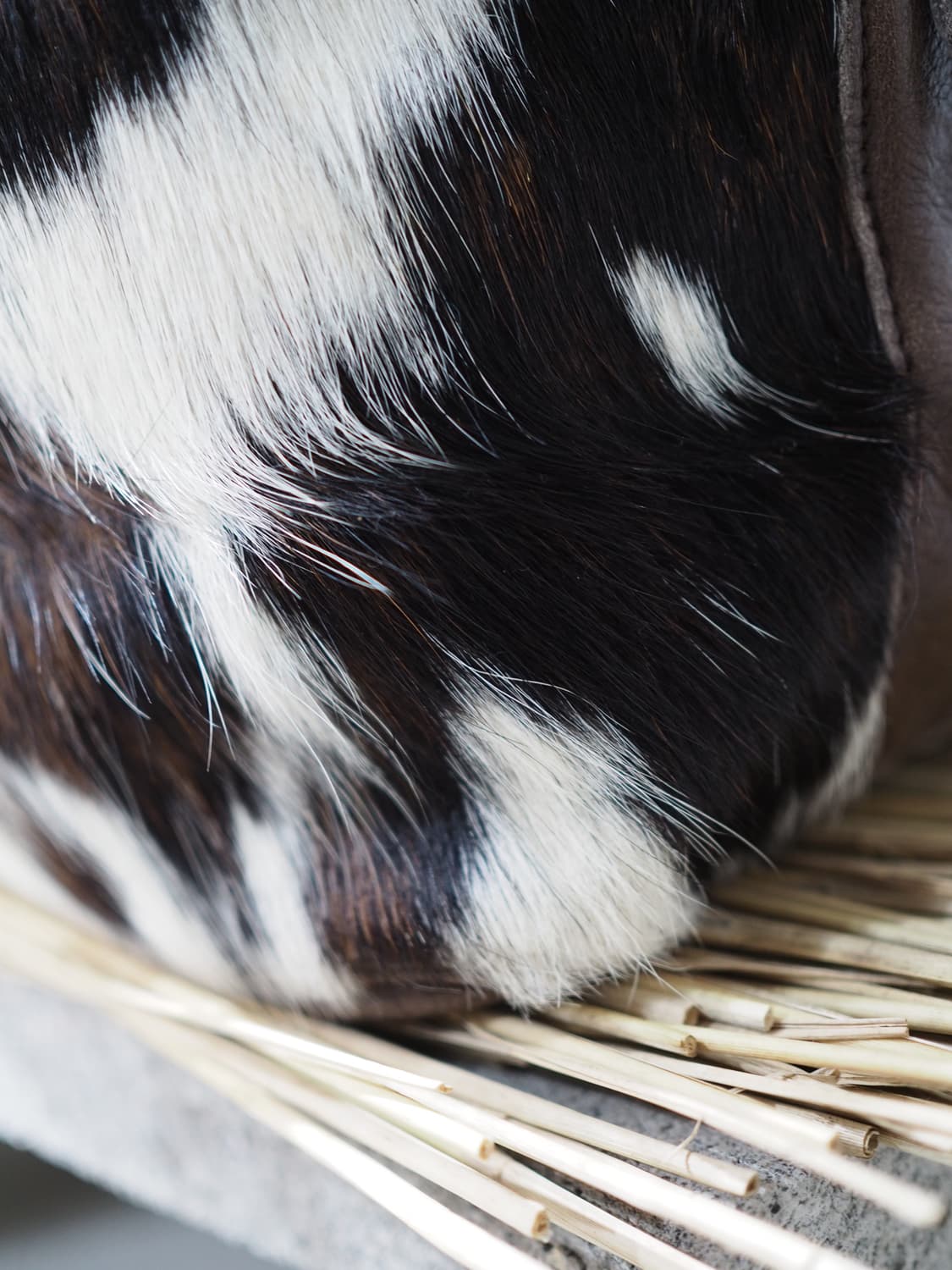 KENZO PARIS cowhide cross bag  상품이미지5