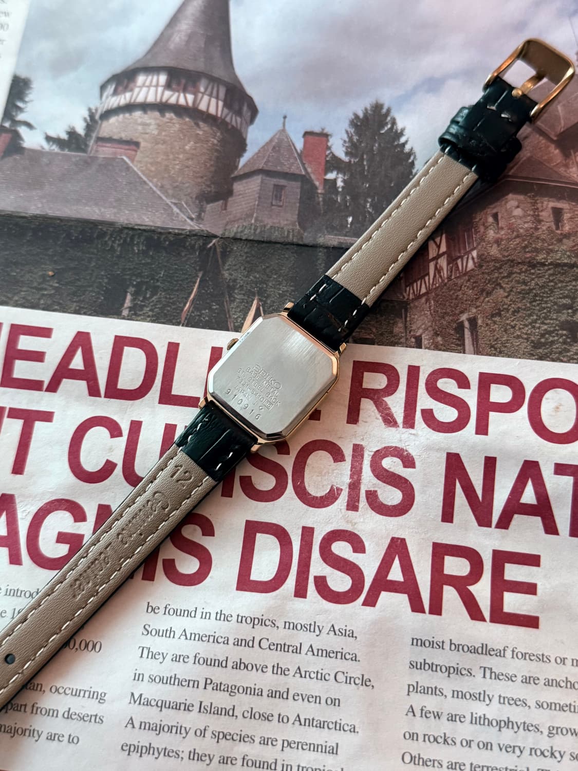 세이코 Seiko 쿼츠 스퀘어 1768 골드 레이디스 상품이미지3