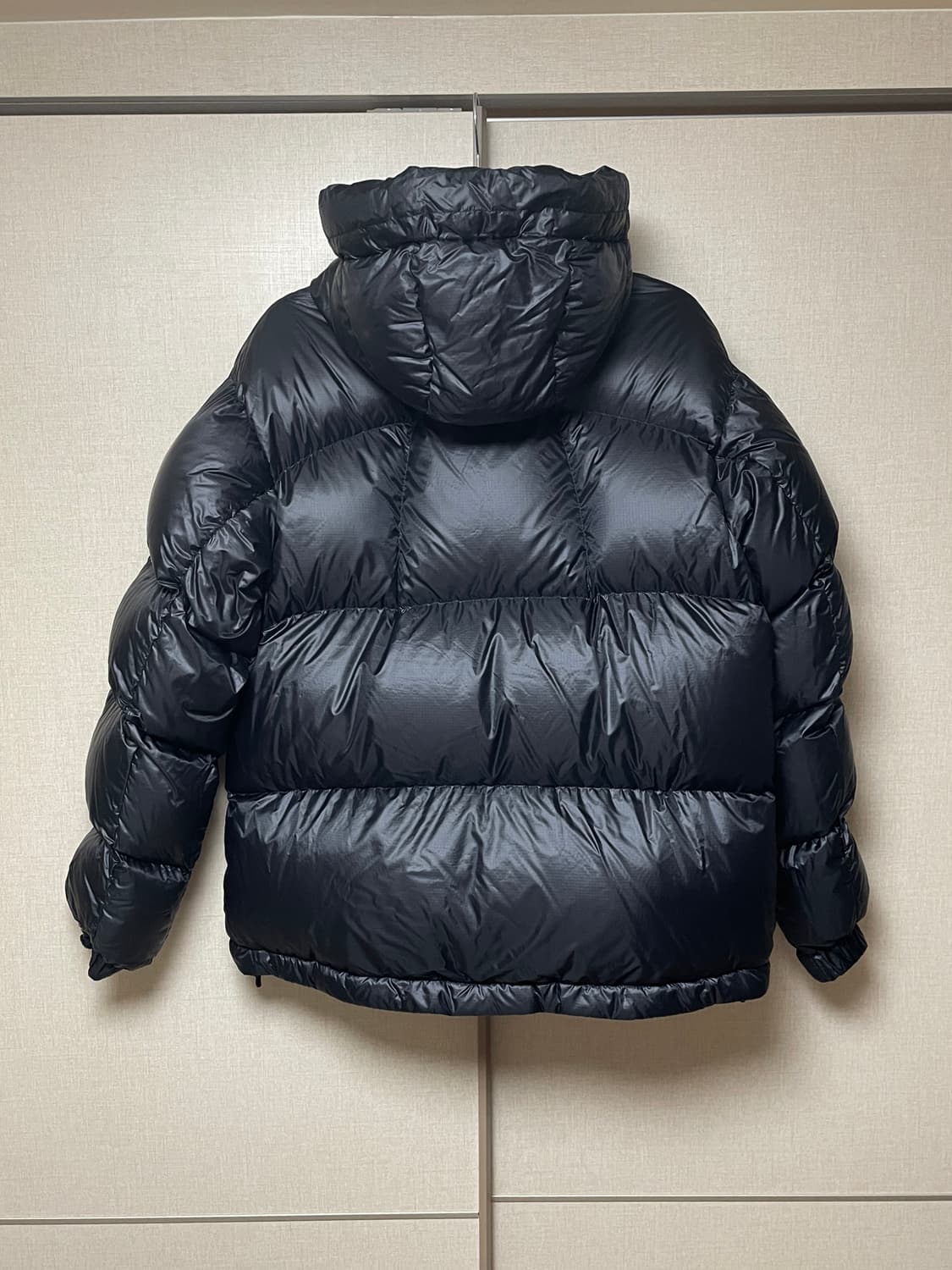 Goldwin Pertex Quantum Down Parka 상품이미지3