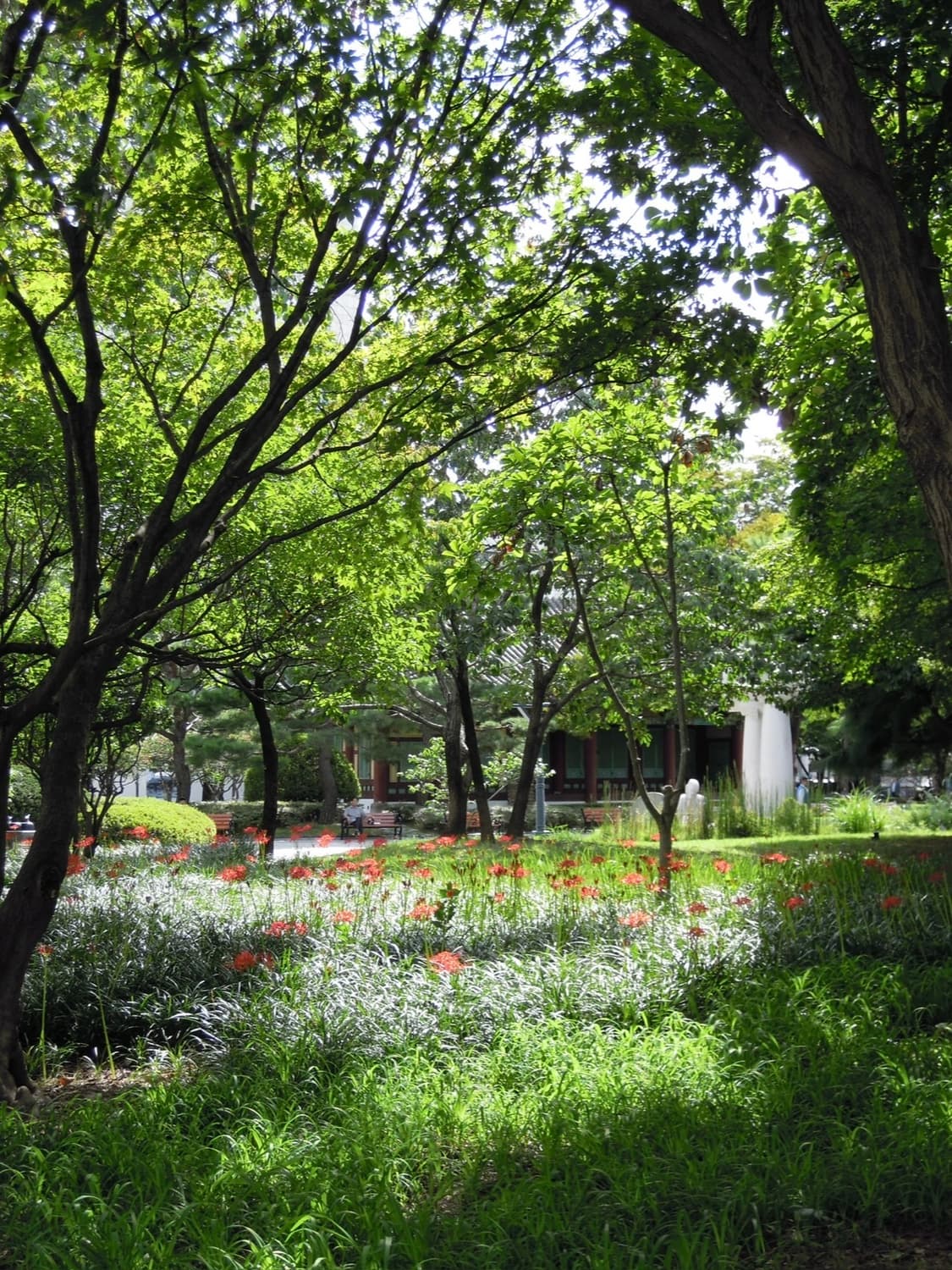 니콘 쿨픽스 P5100 빈티지디카 디카 상품이미지4