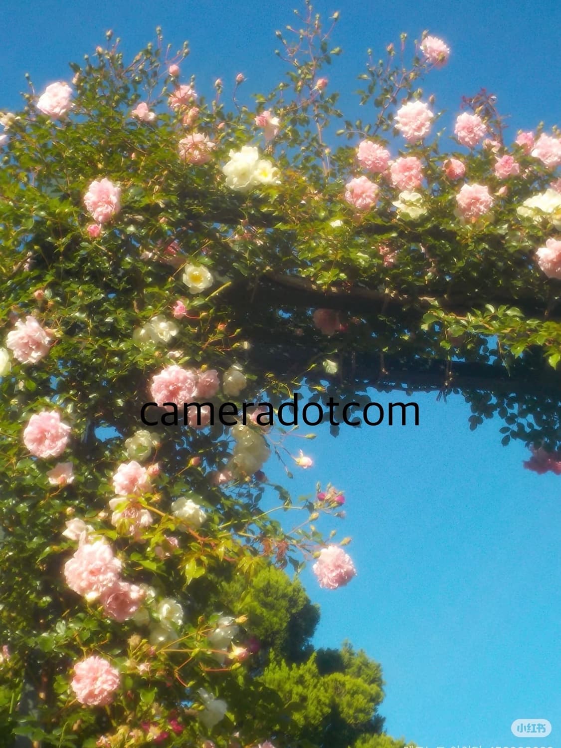준민트급풀셋!) Nikon Coolpix S33 니콘 쿨픽스 블루 상품이미지4